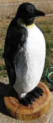 Emperor Penguin