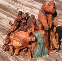 Beaver Turtle Dam
